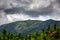 Summer scenery of the trail on Mount Szrenica in the Karkonosze Mountains, Poland