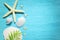 Summer sea background - shells, star on a wooden blue background
