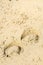 Summer sea, horse footprints on the sand, vertical