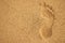 Summer sea, human footprint on the sand directly above, close up