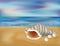 Summer sea shell background, vector