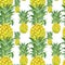 Summer seamless pattern with tropical pineapple fruits. Watercolor tropical hawaiian print