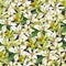 Summer seamless pattern of vanilla flowers. Vector hand-drawn texture of delicate flowers for fabric, home textile bedding