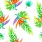 Summer seamless tropical pattern Strelitzia with exotic flower - bird of paradise. Endless texture for season spring and