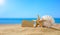 Summer seascape. Wooden blank plaque next to a starfish and a large white seashell on the beach.