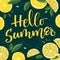 Summer season - Hello Summer - colorful handwrite calligraphy