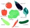 Summer seasonal collection - tomato; eggplant; cabbage; chilli; cucumber; artichoke; squash; bell pepper.