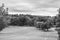 Summer seasonal photograph. Large grass field with trees and beautiful sky. Photograph in black and white. Great depth.