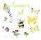 Summer set. Butterflies, bumblebee, rose, kite, strawberries