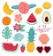 Summer set of design elements tropical leaves, flowers, fruits. Vector illustration