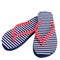 Summer shoes rubber flip flops isolated