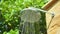 Summer shower head water spray in beautiful garden in slow motion. 1920x1080