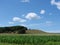 Summer sky & crops