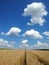 Summer sky over field path