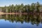 Summer sky and trees reflected in lake water