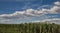 summer skyscape and agricultural landscape