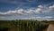 summer skyscape and agricultural landscape