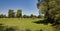 summer skyscape and meadow in the summer