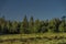 Summer Slovakia morning with blue sky and green forest