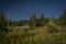 Summer Slovakia morning with blue sky and green forest