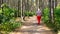 Summer sport - nordic walking. Mature woman hiking in sunny forest. Active people outdoors.