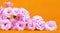 Summer, spring concept, pink flowers on orange background, web banner