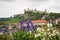 Summer or spring flowers with wurzburg fortress in the background