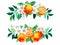 Summer spring label banner border fresh orange valencia mandarin foliage leaves and flower Bright tasty for invitation Template