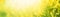 Summer or spring natural floral background with yellow blooming field, blurred toned image with bokeh, banner
