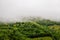 Summer / spring panoramic landscape of a hill forest in Moieciu de Jos, Brasov, Transylvania, Romania