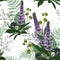 Summer spring seamless pattern with violet lupines paradise flowers, fern and herbs.