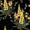 Summer spring seamless pattern with yellow lupines paradise flowers and herbs.