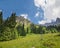 Summer spruce mountain meadow cloudscape
