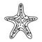 summer starfish animal isolated icon