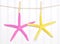 Summer Starfish on a Clothesline