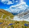 Summer Stelvio Pass Italy and blue flowers in front.