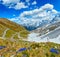 Summer Stelvio Pass Italy and flowers