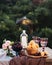 Summer still life in the village. In a blue vase lies cherry berries, apricots in a wooden plate, pink roses in a vase