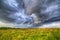 Summer storm over the meadow