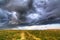 Summer storm over the meadow