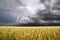 A summer storm rolls over the Missouri fields