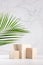 Summer style of showcase for cosmetics product display - wooden cube platforms with green palm leaf in sunlight on white wood.