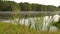 Summer sultry noon on shore of forest lake. Green reeds sway in wind close up. Calm summer landscape. HD slowmo video