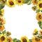 Summer sunflowers frame with a white background
