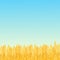 Summer sunny landscape with a field of ripe wheat gradient flat style design vector illustration.