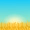 Summer sunny landscape with a field of ripe wheat gradient flat style design vector illustration