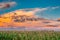 Summer Sunset Evening Clouds Above Countryside Rural Cornfield L