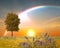 Summer sunset lightning sky and rainbow on green field with wild flowers and trees nature landscape