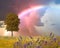 Summer sunset lightning sky and rainbow on green field with wild flowers and trees nature landscape