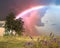summer sunset lightning sky and rainbow on green field with wild flowers and trees nature landscape